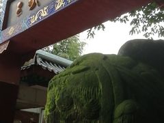 -三峡古玩城(泰古广场店)