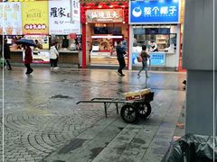 -仙境豆夫(步行街旗舰店)
