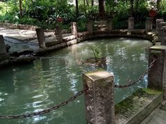 -成都市活水公园