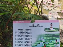 -中国科学院西双版纳热带植物园