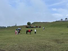-玉舍国家森林公园