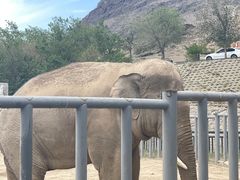 -新疆天山野生动物园