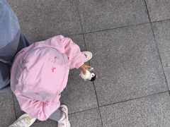 -大连圣亚海洋世界