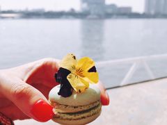 -白天鹅宾馆·流浮阁咖啡厅