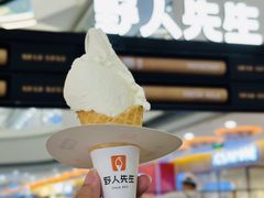 -野人先生Gelato(上海长宁龙之梦店)