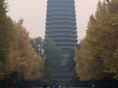 -玲珑塔公园