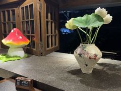 -菌自由丨野生菌火锅特色庭院餐厅(丽江古城店)