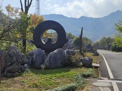 -千岛湖石林