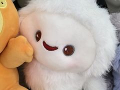 -可爱抓 COCO  GOTCHA(天津鹏欣水游城店)