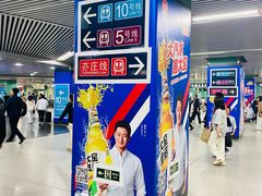 -宋家庄(地铁站)