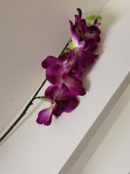 -紫洁俪方（北京）医疗美容
