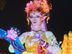 -武汉园博园(武汉自然博物馆)