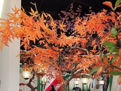 -荷塘秋月·本帮江浙菜(国权路店)