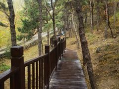 -北京十三陵国家森林公园蟒山景区