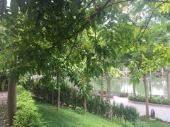 -揭东万竹园旅游景区