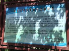 -北京鹫峰国家森林公园