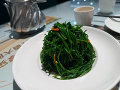 -新疆兵团食府清真(马连道店)