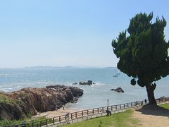 -小麦岛公园