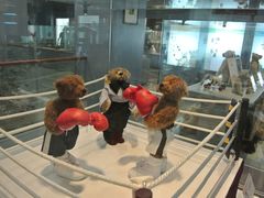 -济州岛泰迪熊博物馆