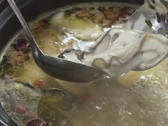 -花苑美食横琴生蚝火锅(拱北粤华路店)