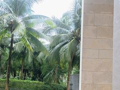 -三亚海棠湾喜来登度假酒店