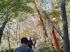 -灵岩山风景区