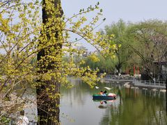-莲湖公园