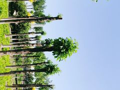 -东疆建设开发纪念公园