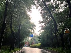 -广州市白云山风景名胜区