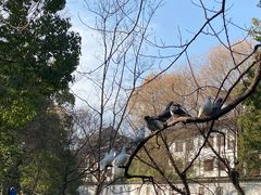 -西园戒幢律寺