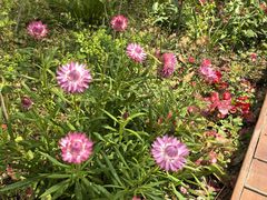 -上海交通大学(闵行校区)