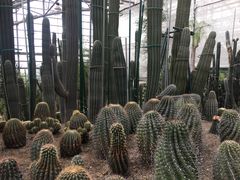 -南山植物园