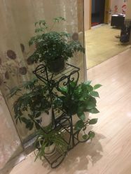 -本真坊美容美体沙龙