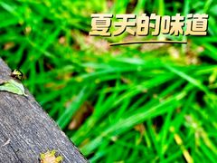 -国家植物园
