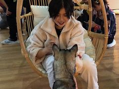 -Husky Go! 哈士奇体验馆·宠物咖啡厅狗咖