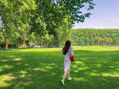 -河南省黄河迎宾馆