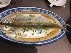 清蒸白水鱼-品渔味湖鲜馆(拈花湾店)