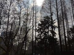 -徐家汇源景区-衡山公园