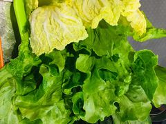 -古乐牛香·鲜牛肉牛杂火锅(解放东路店)