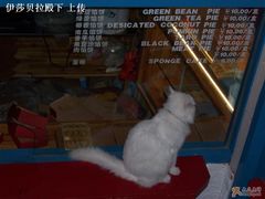 -Babycat私家御饼屋(龙头路一店)