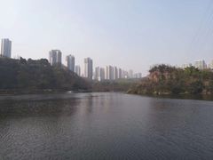 -重庆彩云湖湿地公园