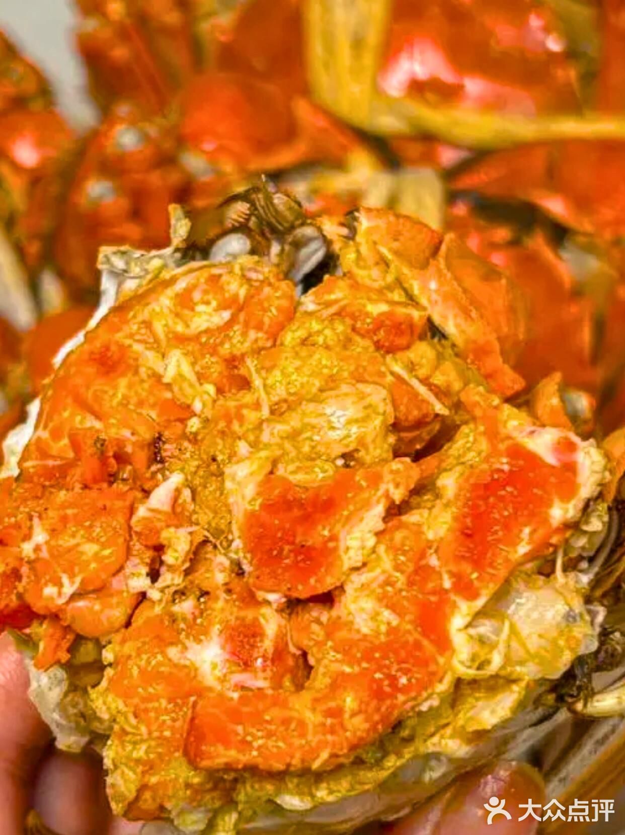 大闸蟹vs梭子蟹