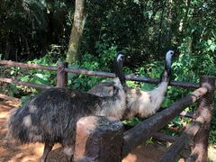 -海南热带野生动植物园