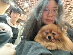 -和它·交个朋友·狗咖猫咖(爱琴海店)