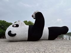 -苏州太湖国家湿地公园