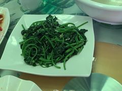 -四姑娘川味海鲜(八爪鱼店)