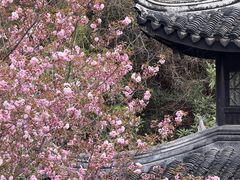 -九龙潭景区