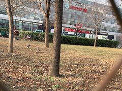 -首都医科大学附属北京地坛医院