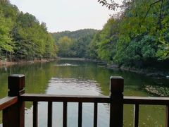 -青龙山国家森林公园