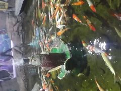 android_upload_pic-郑州海洋馆